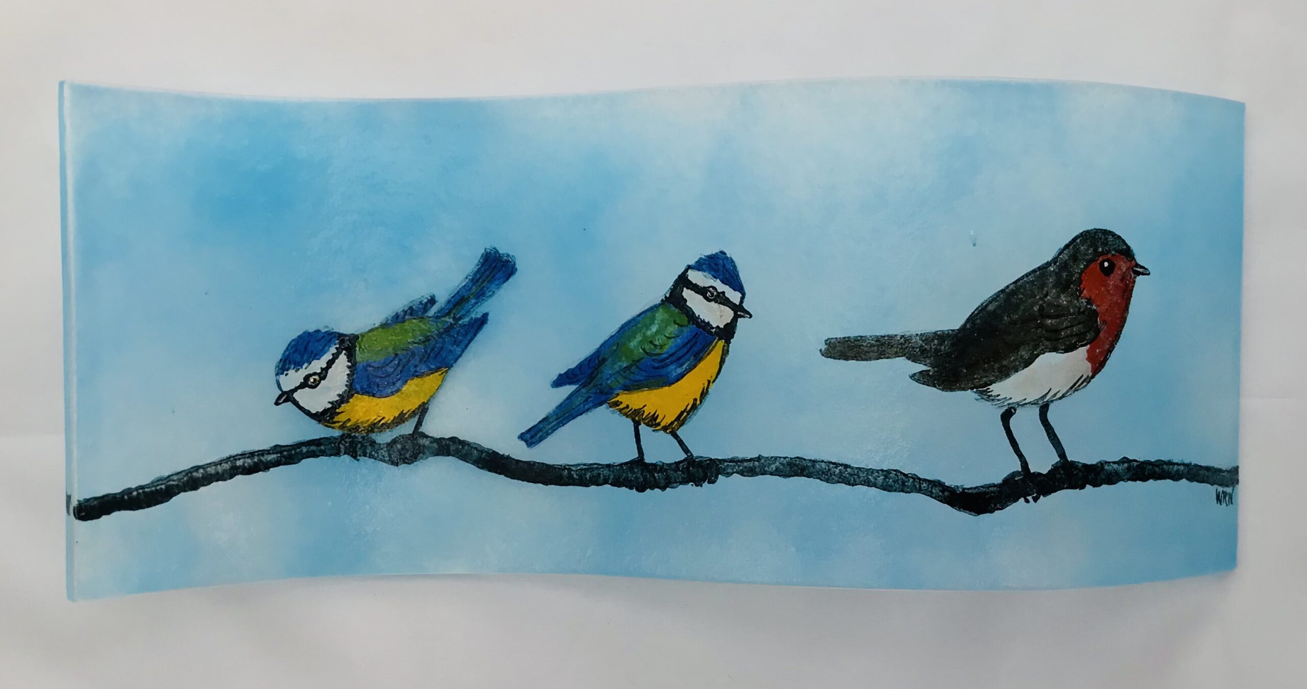 Blue tits & Robin long panel